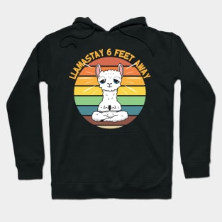 Llamastay 6 Feet Away Hoodie